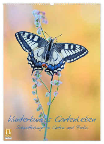 Kunterbuntes Gartenleben - Schmetterlinge in Gärten und Parks (Wandkalender 2026 DIN A2 hoch), CALVENDO Monatskalender
