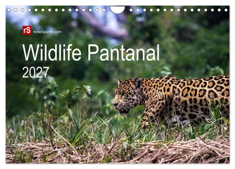 Wildlife Pantanal 2027 (Wandkalender 2027 DIN A4 quer), CALVENDO Monatskalender