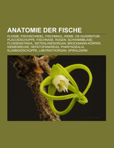 Anatomie der Fische