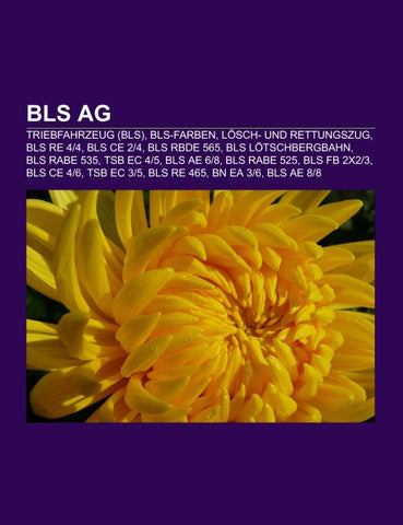 BLS AG