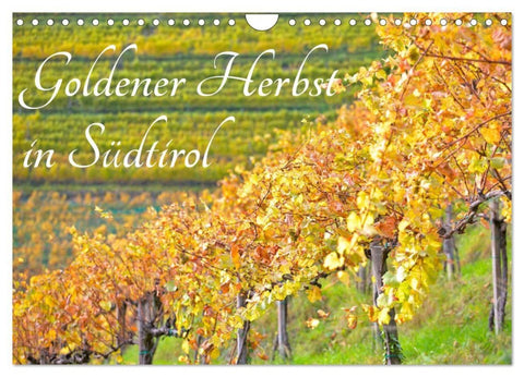 Goldener Herbst in Südtirol (Wandkalender 2027 DIN A4 quer), CALVENDO Monatskalender