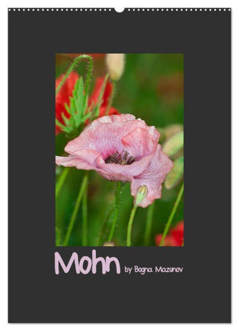 Mohn (Wandkalender 2026 DIN A2 hoch), CALVENDO Monatskalender
