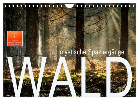 Wald - mystische Spaziergänge (Wandkalender 2026 DIN A4 quer), CALVENDO Monatskalender