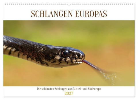 Schlangen Europas (Wandkalender 2027 DIN A2 quer), CALVENDO Monatskalender