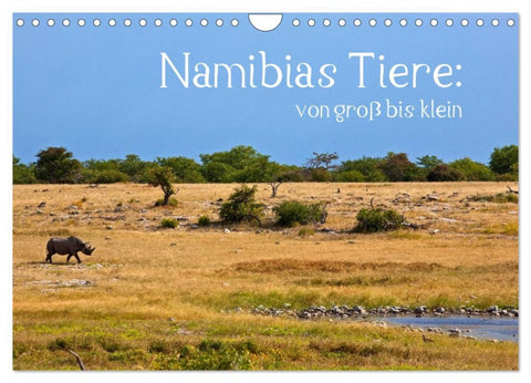 Namibias Tiere: von groß bis klein (Wandkalender 2026 DIN A4 quer), CALVENDO Monatskalender
