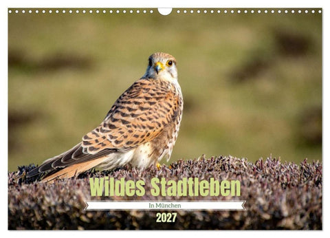 Wildes Stadtleben in München (Wandkalender 2027 DIN A3 quer), CALVENDO Monatskalender