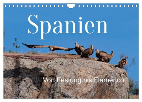 Von Festung bis Flamenco (Wandkalender 2027 DIN A4 quer), CALVENDO Monatskalender