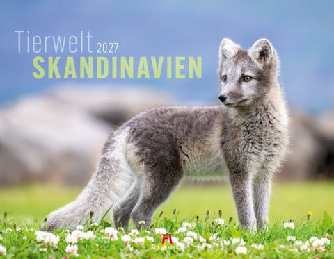 Tierwelt Skandinavien Kalender 2027