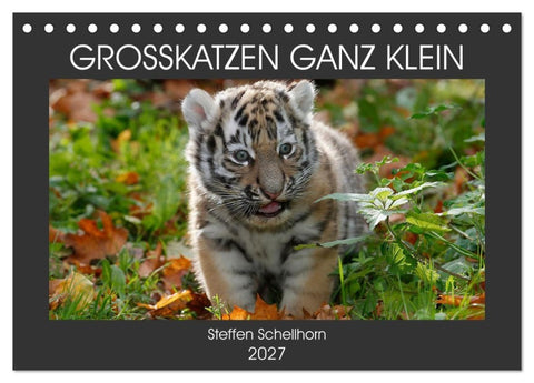 GROSSKATZEN GANZ KLEIN (Tischkalender 2027 DIN A5 quer), CALVENDO Monatskalender
