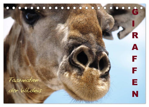 Giraffen - Faszination der Wildnis (Tischkalender 2027 DIN A5 quer), CALVENDO Monatskalender