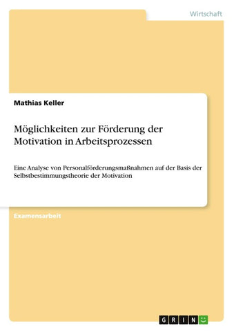 Möglichkeiten zur Förderung der Motivation in Arbeitsprozessen