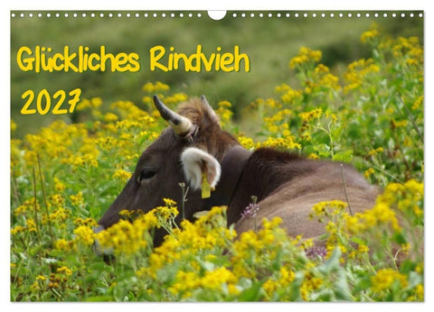 Glückliches Rindvieh 2027 (Wandkalender 2027 DIN A3 quer), CALVENDO Monatskalender