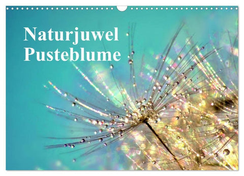 Naturjuwel Pusteblume (Wandkalender 2026 DIN A3 quer), CALVENDO Monatskalender