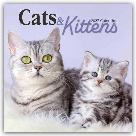 Cats and Kittens – Katzen und Kätzchen 2027 – 16-Monatskalender