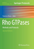 Rho GTPases