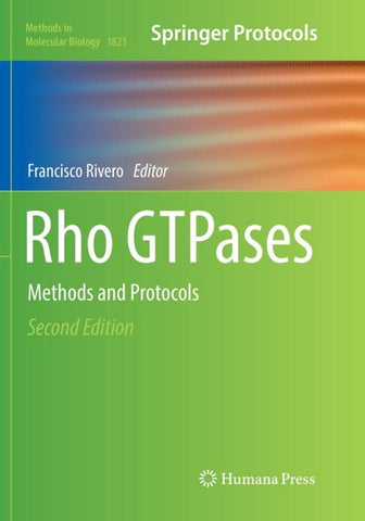 Rho GTPases