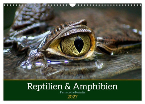 Reptilien & Amphibien Portraits (Wandkalender 2027 DIN A3 quer), CALVENDO Monatskalender