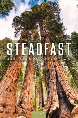 Steadfast 2027