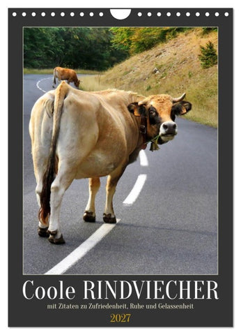 Coole Rindviecher (Wandkalender 2027 DIN A4 hoch), CALVENDO Monatskalender