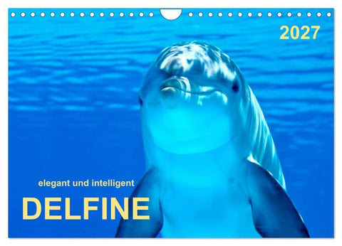 Delfine - elegant und intelligent (Wandkalender 2027 DIN A4 quer), CALVENDO Monatskalender