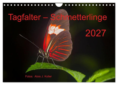 Tagfalter Schmetterlinge (Wandkalender 2027 DIN A4 quer), CALVENDO Monatskalender