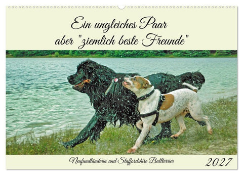 Ein ungleiches Paar aber "ziemlich beste Freunde" (Wandkalender 2027 DIN A2 quer), CALVENDO Monatskalender