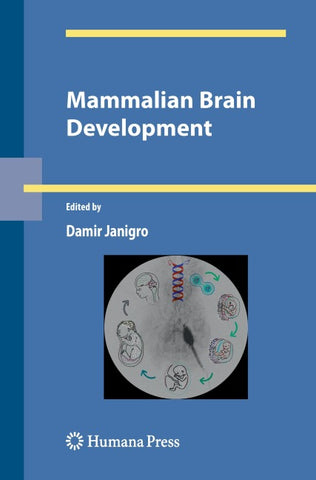 Mammalian Brain Development