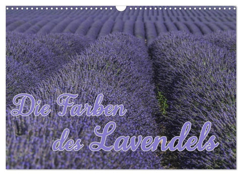 Die Farbe des Lavendels (Wandkalender 2027 DIN A3 quer), CALVENDO Monatskalender