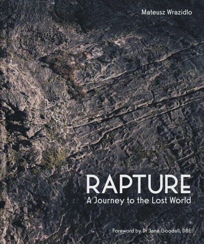 Rapture