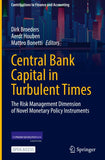 Central Bank Capital in Turbulent Times