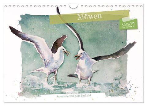 Möwen - Aquarelle von Julia Pasinski (Wandkalender 2027 DIN A4 quer), CALVENDO Monatskalender