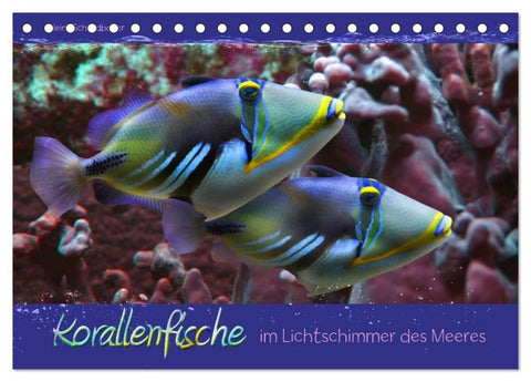 Korallenfische im Lichtschimmer des Meeres (Tischkalender 2027 DIN A5 quer), CALVENDO Monatskalender