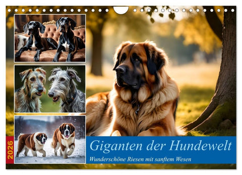 Giganten der Hundwelt (Wandkalender 2026 DIN A4 quer), CALVENDO Monatskalender