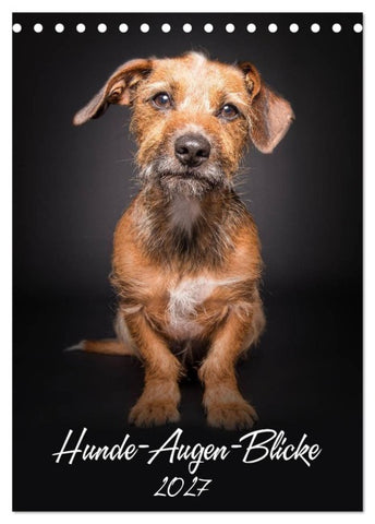 Hunde-Augen-Blicke (Tischkalender 2027 DIN A5 hoch), CALVENDO Monatskalender