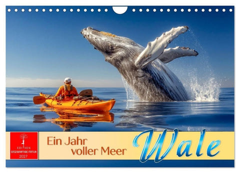 Wale - ein Jahr voller Meer (Wandkalender 2027 DIN A4 quer), CALVENDO Monatskalender
