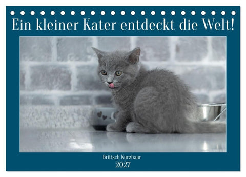 Ein kleiner Kater entdeckt die Welt! (Tischkalender 2027 DIN A5 quer), CALVENDO Monatskalender