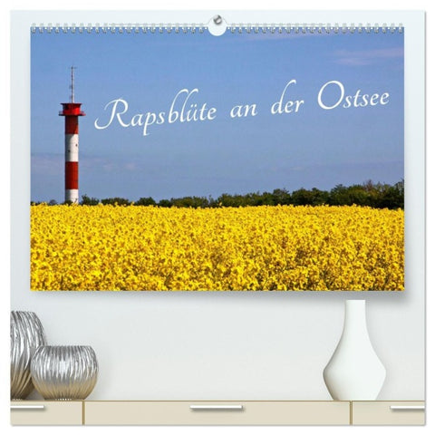 Rapsblüte an der Ostsee (hochwertiger Premium Wandkalender 2027 DIN A2 quer), Kunstdruck in Hochglanz