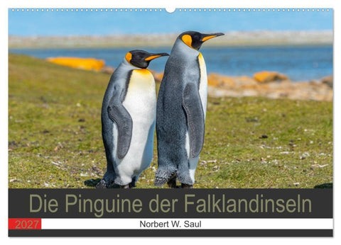 Die Pinguine der Falklandinseln (Wandkalender 2027 DIN A2 quer), CALVENDO Monatskalender