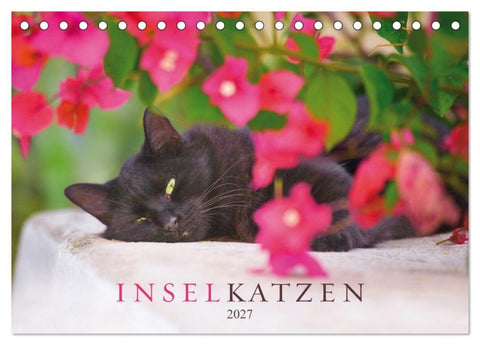 Inselkatzen (Tischkalender 2027 DIN A5 quer), CALVENDO Monatskalender