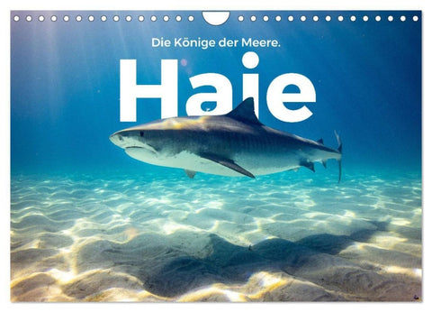 Haie - Könige der Meere. (Wandkalender 2027 DIN A4 quer), CALVENDO Monatskalender