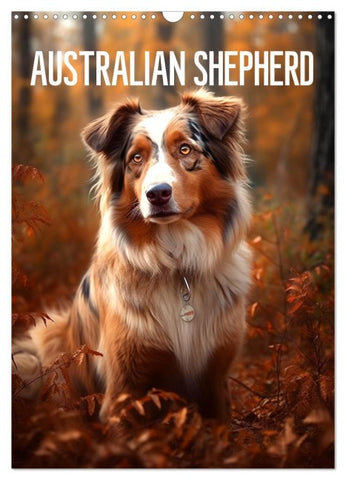 Australian Shepherd (Wandkalender 2026 DIN A3 hoch), CALVENDO Monatskalender