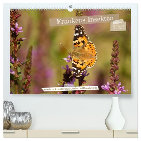 Frankens Insekten (hochwertiger Premium Wandkalender 2027 DIN A2 quer), Kunstdruck in Hochglanz