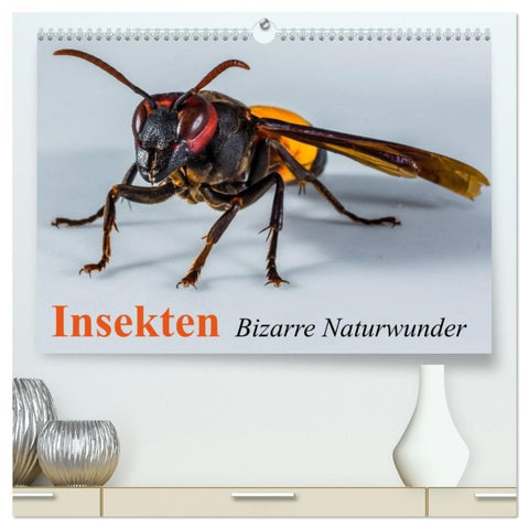 Insekten ¿ Bizarre Naturwunder (hochwertiger Premium Wandkalender 2026 DIN A2 quer), Kunstdruck in Hochglanz