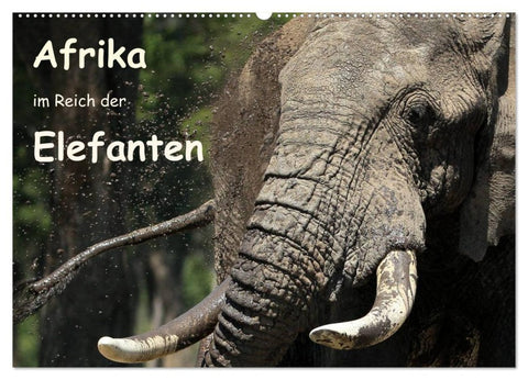 Afrika - im Reich der Elefanten (Wandkalender 2026 DIN A2 quer), CALVENDO Monatskalender