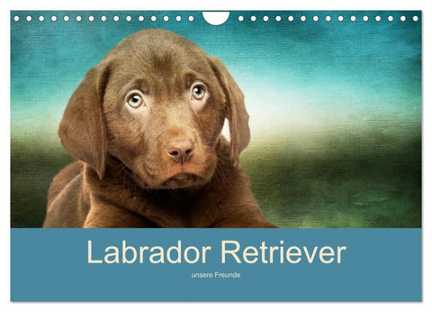 Labrador Retriever unsere Freunde (Wandkalender 2027 DIN A4 quer), CALVENDO Monatskalender