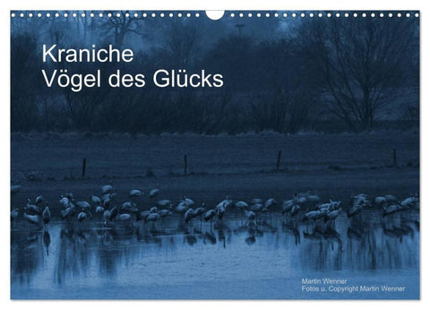 Kraniche (Wandkalender 2027 DIN A3 quer), CALVENDO Monatskalender