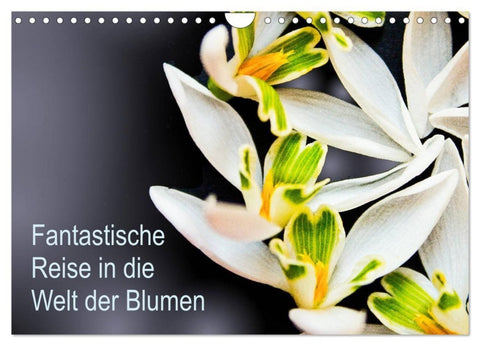Fantastische Reise in die Welt der Blumen (Wandkalender 2027 DIN A4 quer), CALVENDO Monatskalender