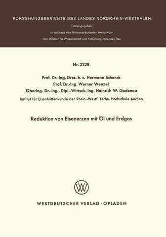 Reduktion von Eisenerzen mit Öl und Erdgas