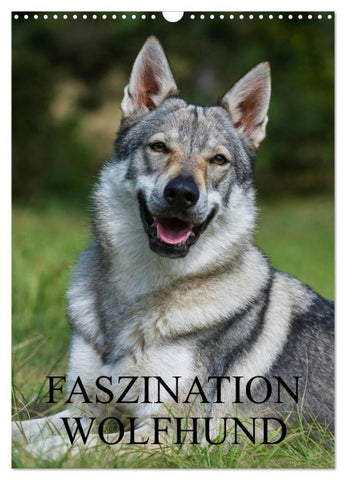 Faszination Wolfhund (Wandkalender 2027 DIN A3 hoch), CALVENDO Monatskalender