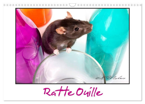 Ratte Ouille (Calendrier mural 2026 DIN A3 vertical), CALVENDO calendrier mensuel